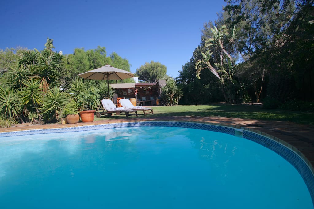 Pool and bar area