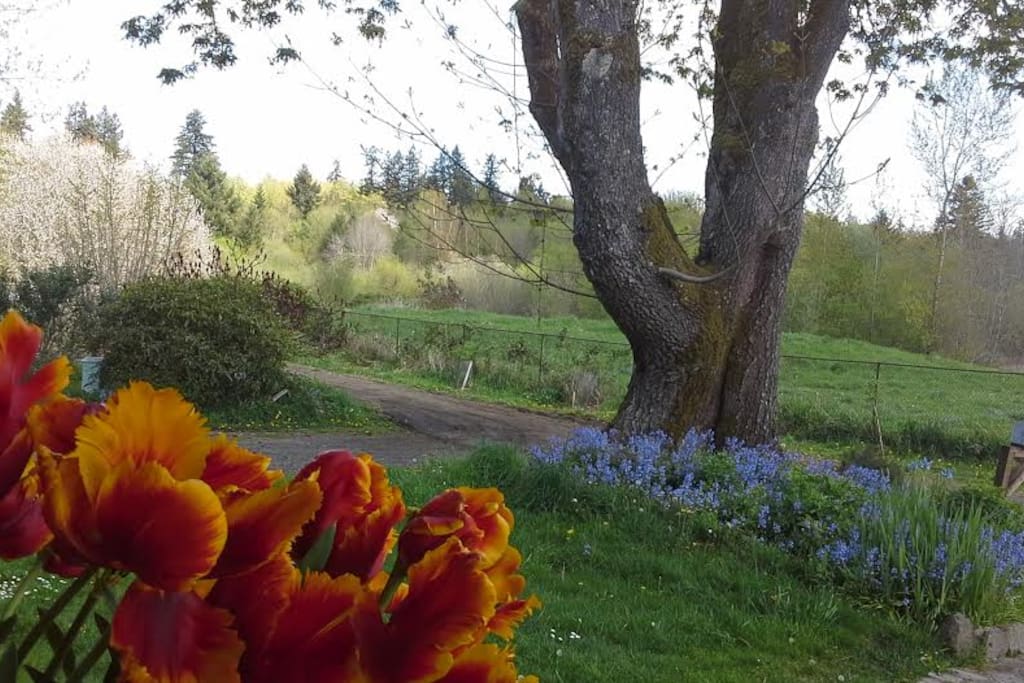 View from the porch of the nature park.