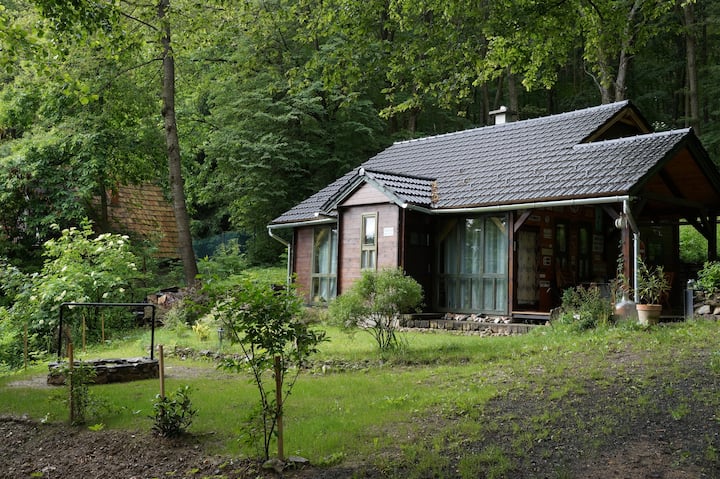 Cosy wooden cottage near the forest