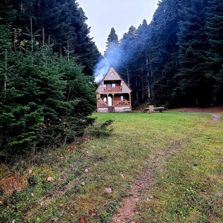 A cozy wooden cabin is nestled among tall green trees, with smoke gently rising from the chimney. A grassy area in the foreground leads towards the cabin, which features an inviting porch and large windows, surrounded by the serene beauty of the forest.