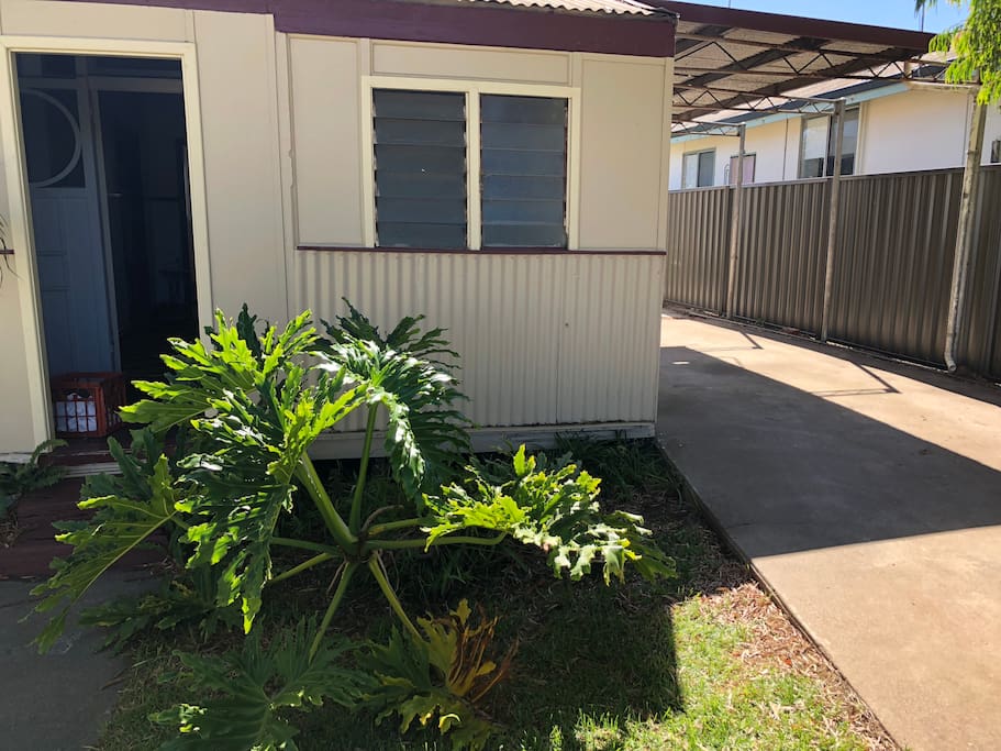 Front entrance, carport, enclosed yard