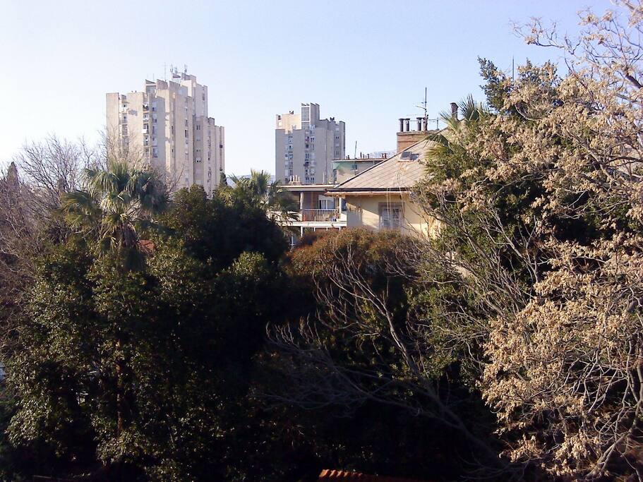 A(4): view
