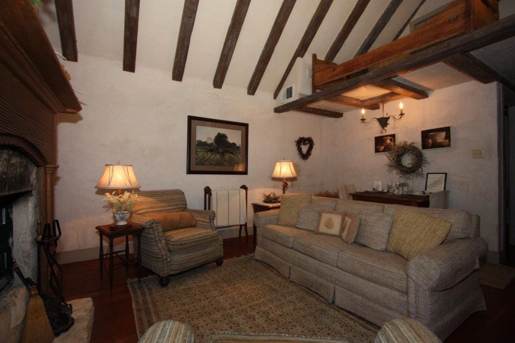 The cozy living room with working fireplace and sleep sofa