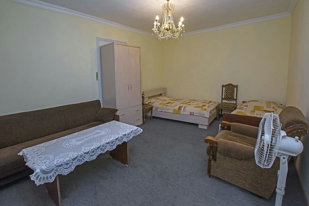 Living room/bedroom