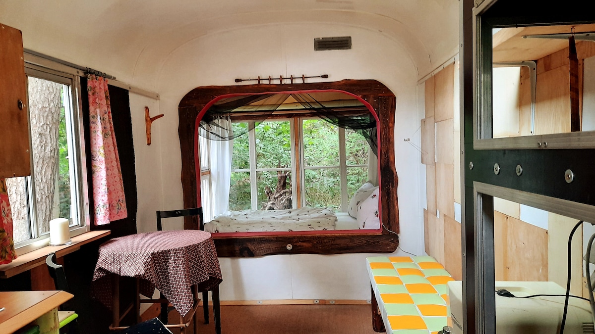 An interior space features a cozy sleeping nook with a large window framed in wood, allowing views of the surrounding greenery. A small black table with a checkered tablecloth and a bench with colorful cushions are positioned beside it.