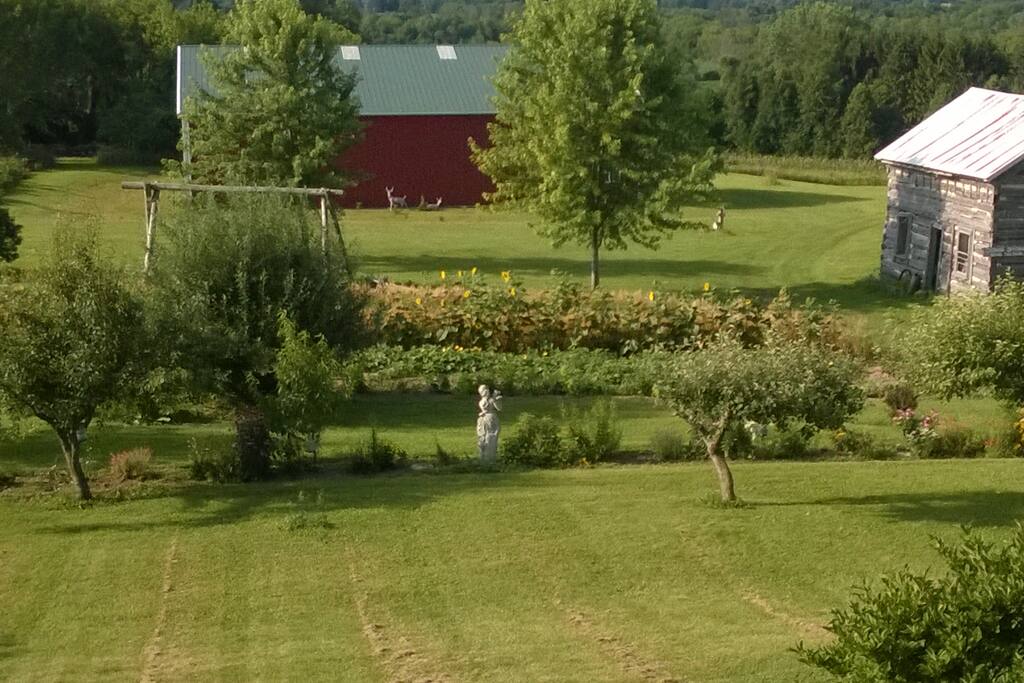 Toadally Natural Garden View Sw Landgasthofe Zur Miete In Hartford