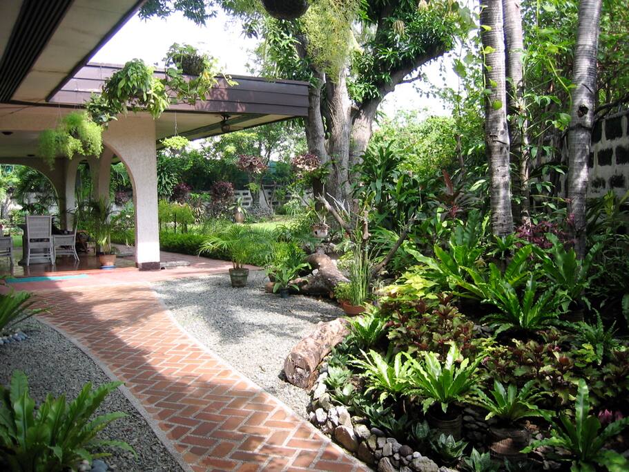 Side Garden Area
