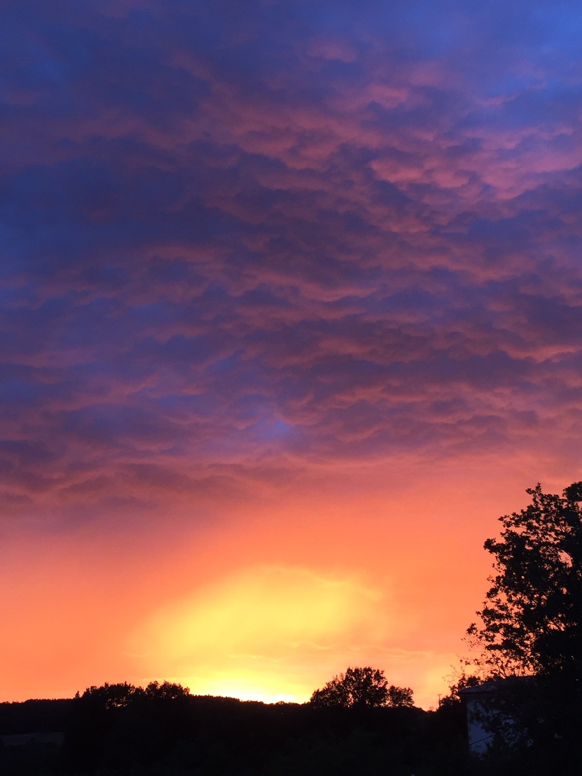 A vibrant sunset is captured, showcasing deep orange and purple hues blending seamlessly in the sky. Dark clouds are visible, creating a dramatic backdrop. A silhouette of a tree is seen on the right, adding depth to the tranquil scene.