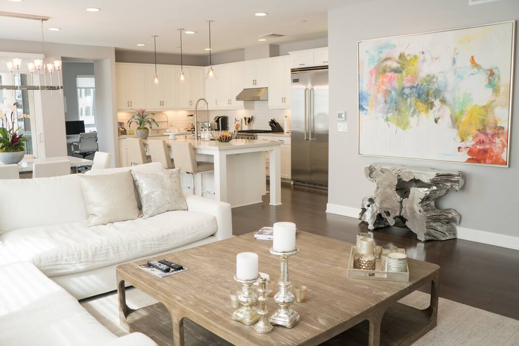 Living Room / Kitchen Area