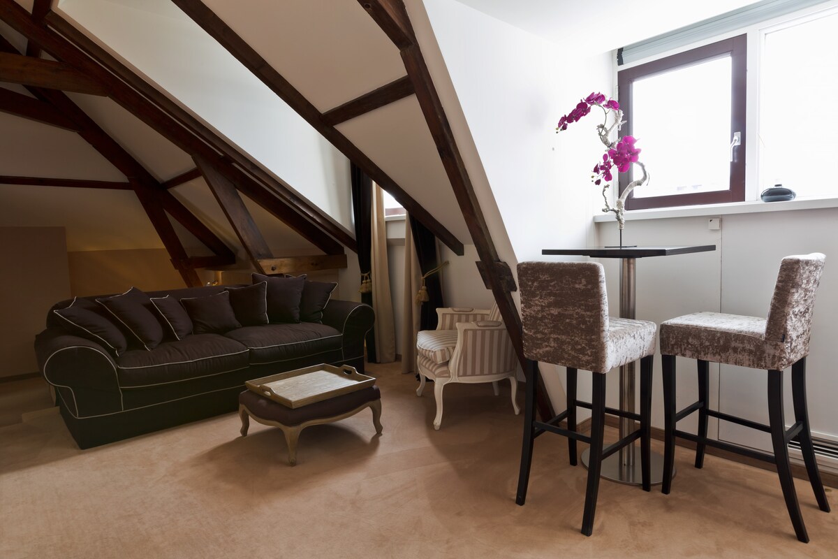 Appartement op het dak met allerlei comfort: bank, ontbijttafel met uitzicht, bureau, kingsize boxspringbed, bad, regendouche, tv, dvd, iPod-dock, espressomachine, theezetapparaat. 