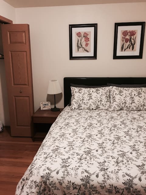 Chicago Chinatown great location（A）（中文房东）