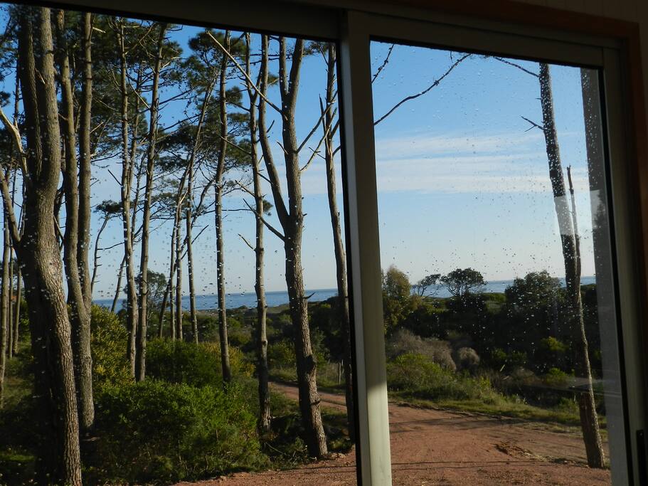 Vista desde adentro de la casa