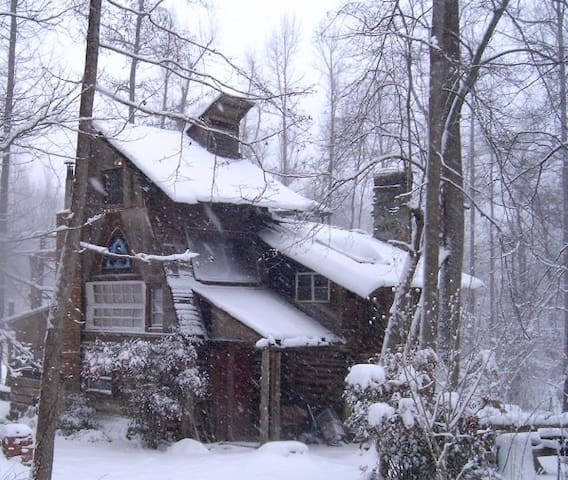 Cozy Log Cabin w/ Music Stage, Tiki Bar & Tipi too