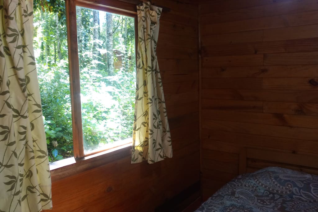 Habitación ubicada fuera de la casa, rodeada de vegetación