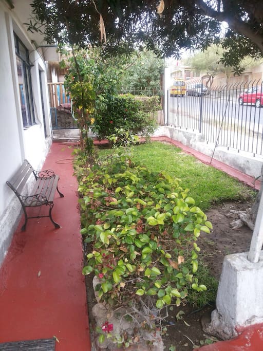 patio delantero
