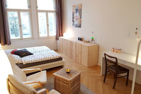 Large, bright room in spacious apartment