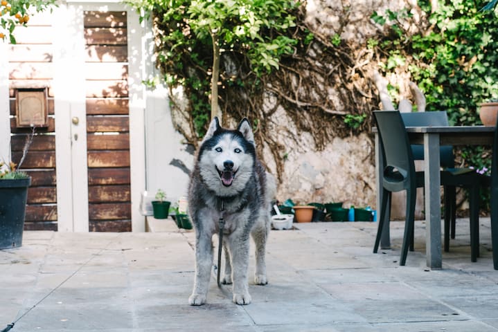 Stunning city home made for easy outdoor living gallery image 2