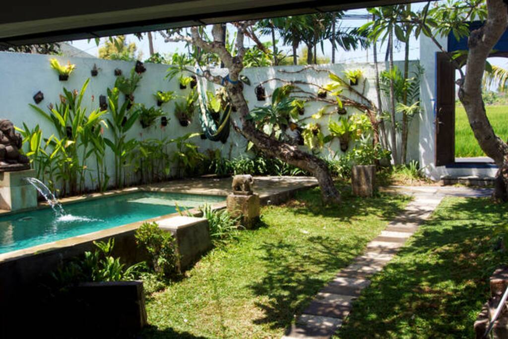 garden and pool