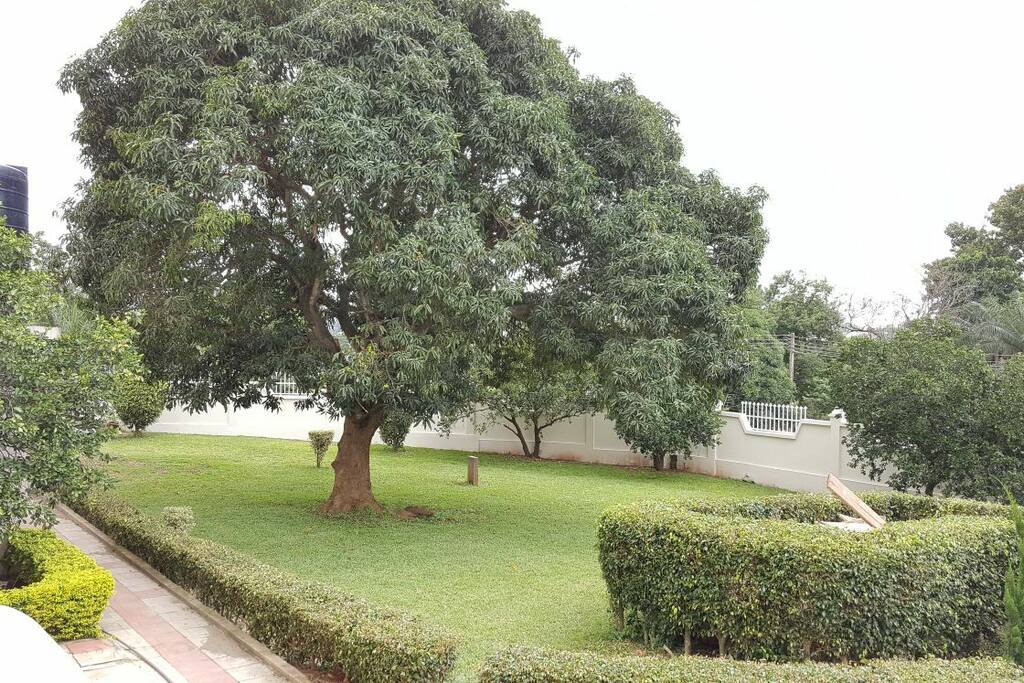 Your apartment is next to this garden area.