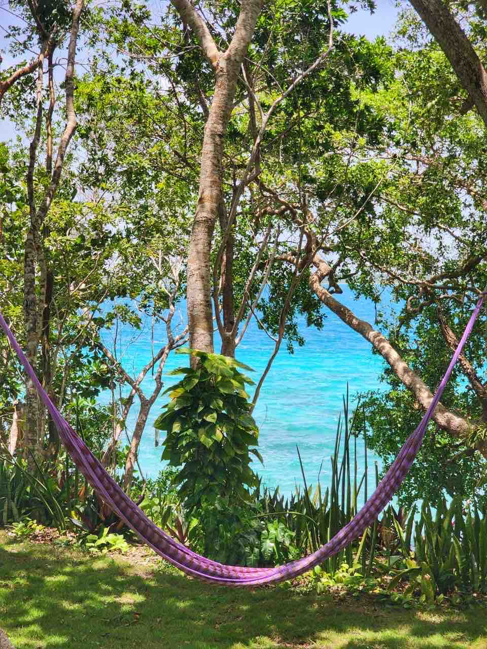 A vibrant hammock is suspended between trees, overlooking the turquoise waters of the lagoon. Lush greenery frames the scene, enhancing the natural setting. Sunlight filters through the leaves, creating a serene and inviting space for relaxation.
