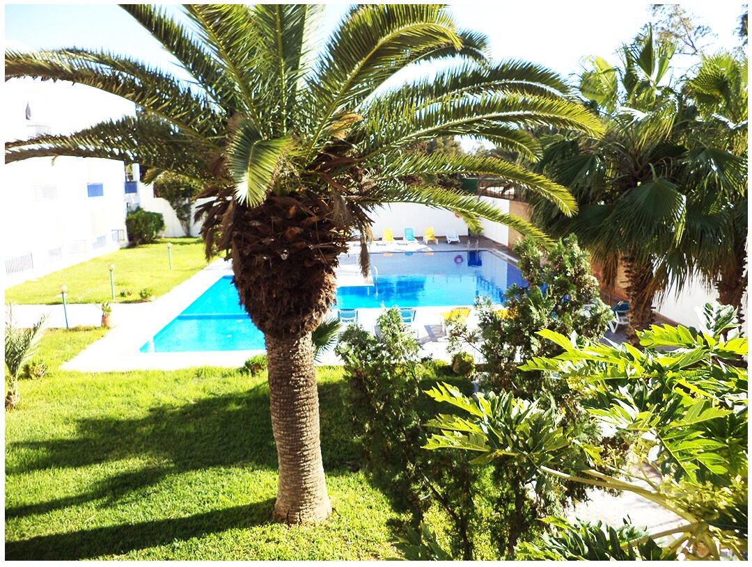 A vibrant pool area is framed by lush greenery and palm trees. A clear blue pool is surrounded by sun loungers, creating a serene space for relaxation. The well-maintained lawn complements the tranquil atmosphere of the outdoor setting.