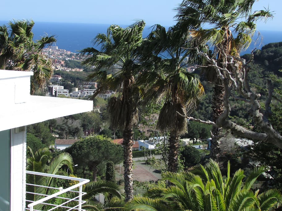 palm and sea view from the garden and terrace