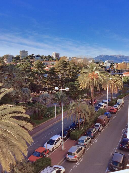 View over the park