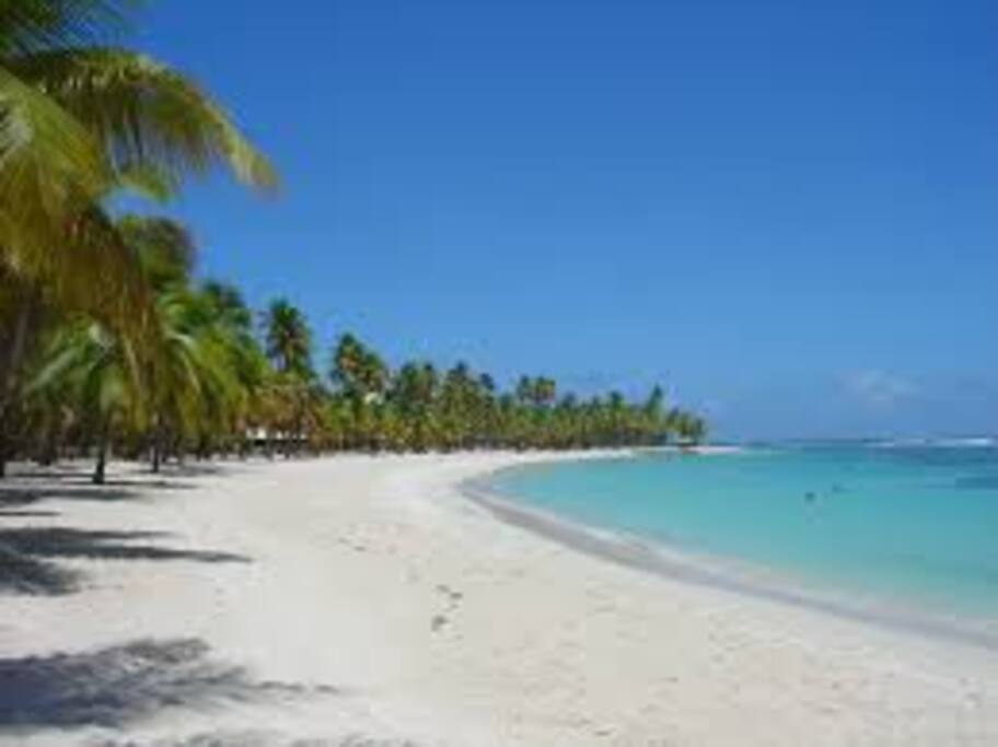 La plage de la Caravelle, une des plus belles de la Guadeloupe