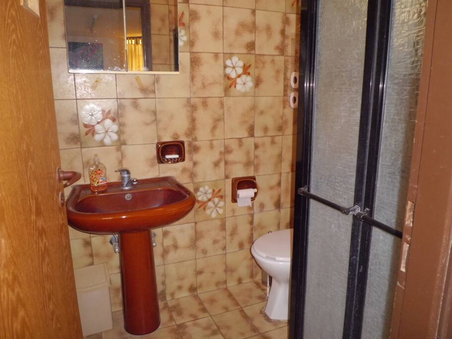 Shower, basin, toilet and mirrored cupboard