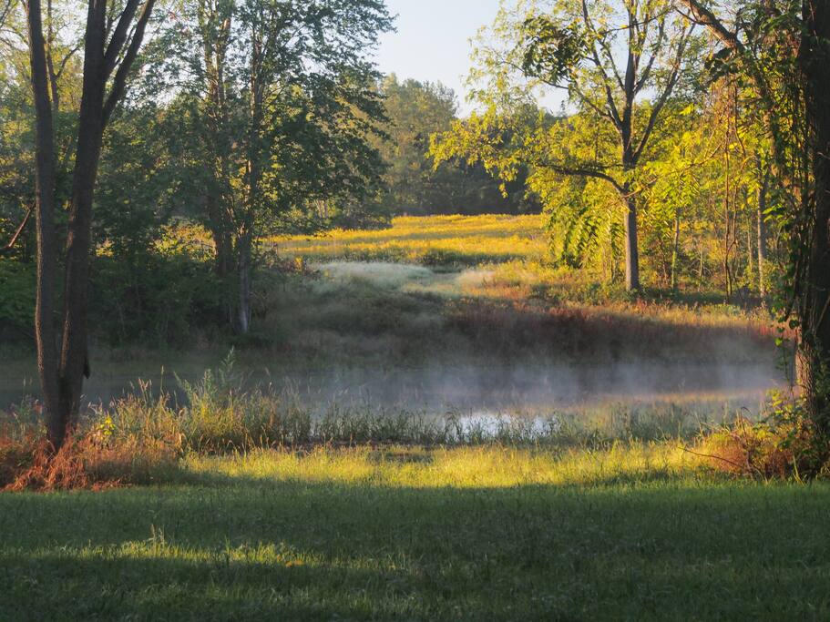 Beautiful back yard pond