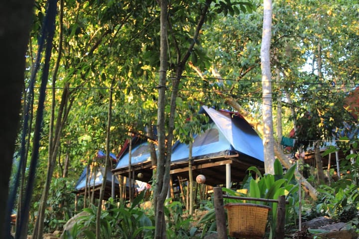 Rainforest Camping Perhentian Kecil Tent 3 1 Bedroom 1 Bathroom Tent In Pulau Perhentian Kecil Malaysia