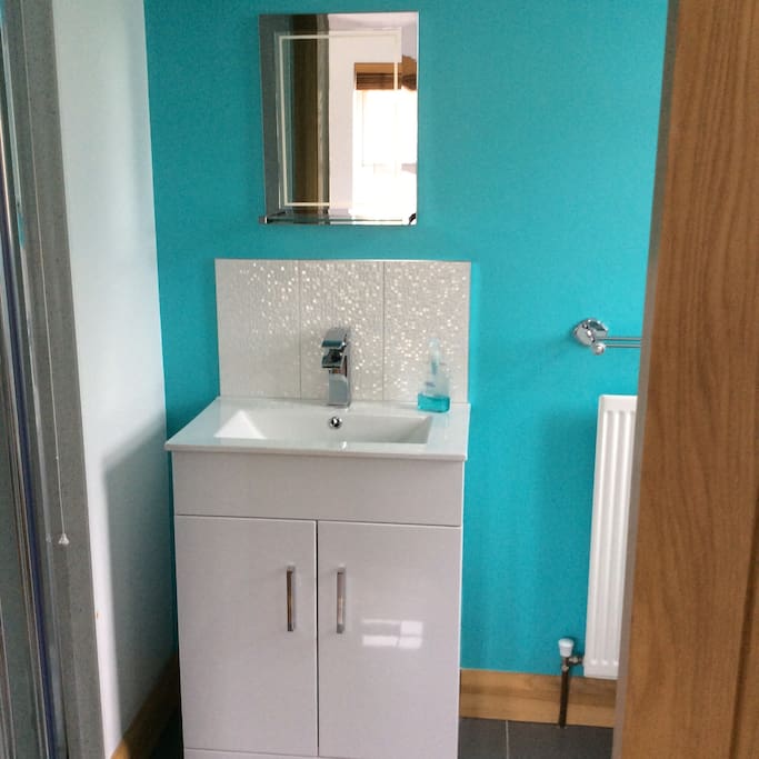 Ensuite shower room