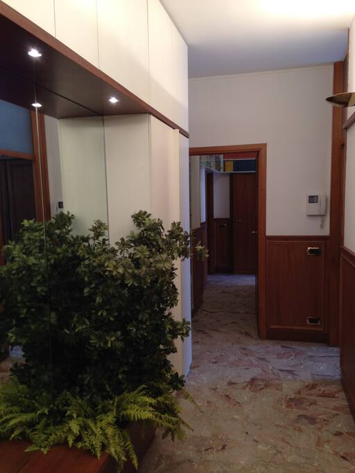 Ingresso