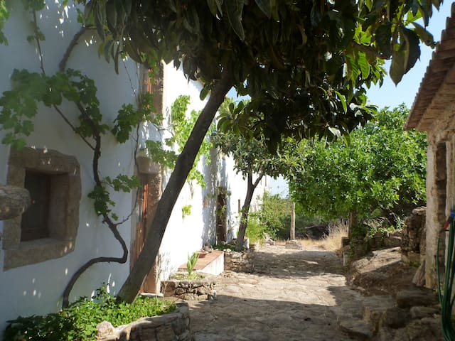 Casa Margarida- quarto rez-de-chão/room - 39463/AL