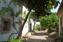 Casa Margarida- quarto rez-de-chão/room - 39463/AL