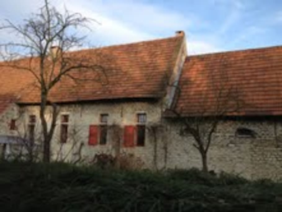 view from the orchard