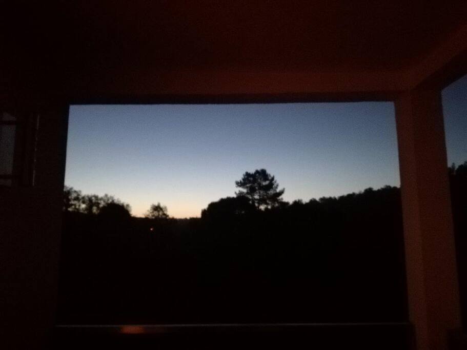 by night