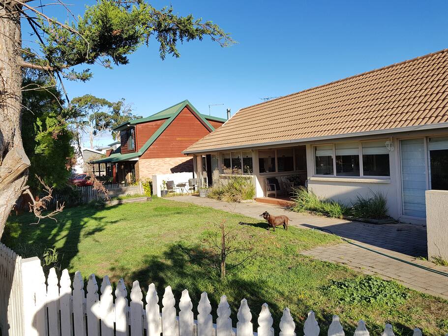 Front Yard