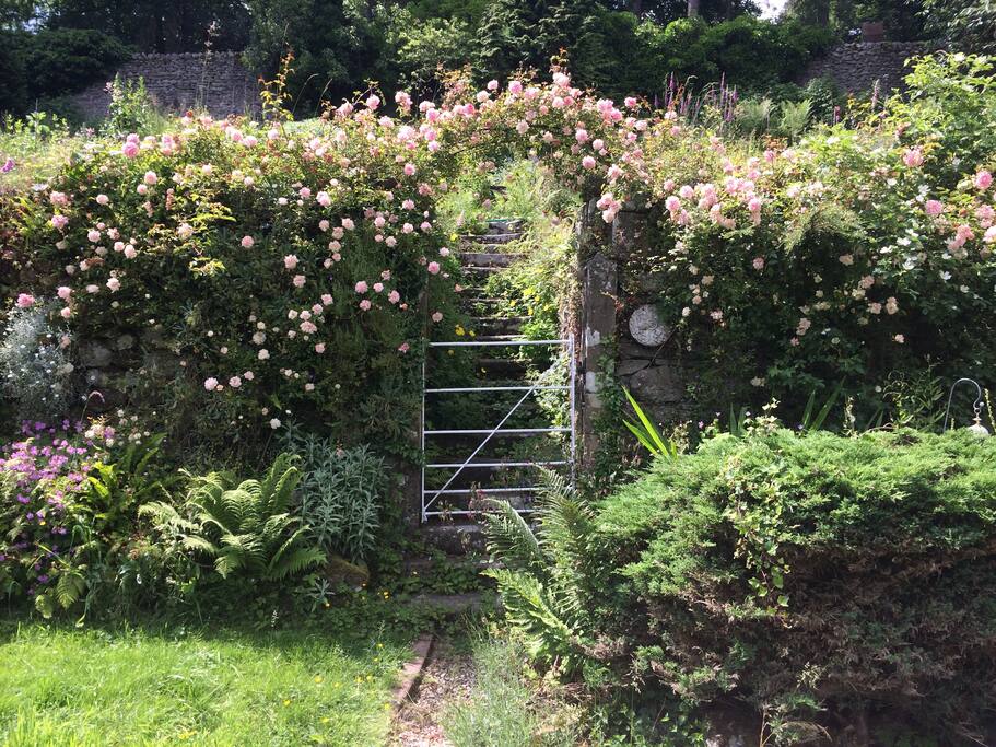 Summer at Littlebank
