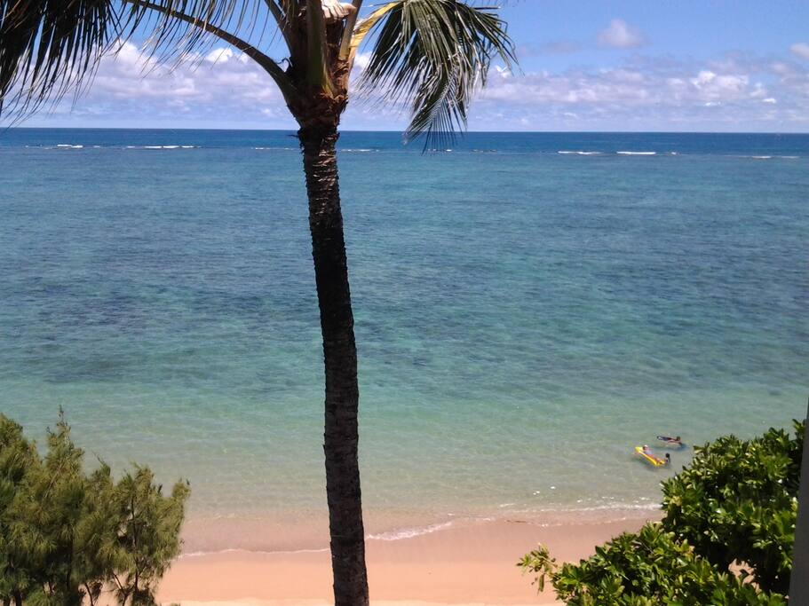 Reef protected beach is perfect for swimming and snorkeling.
