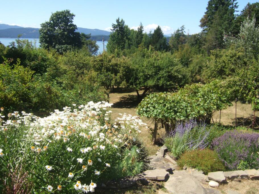 1+ acre orchard gives kids plenty of room to play.