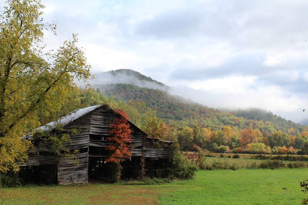 Looking into the meadow from the front porch.
