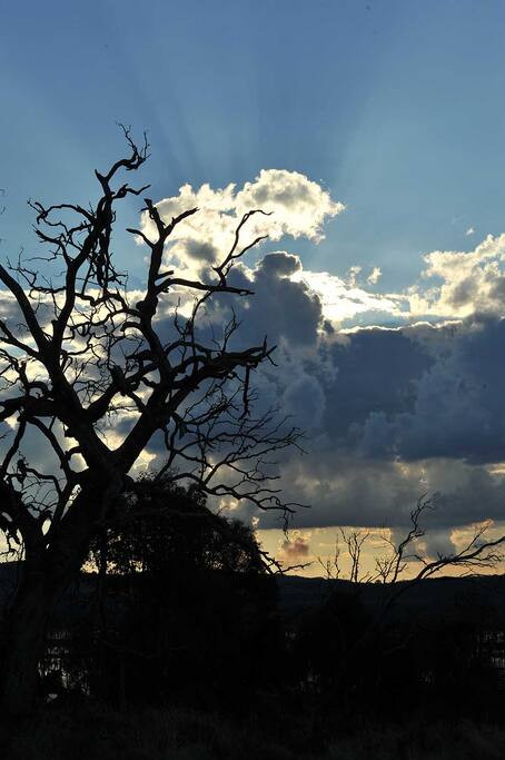 Cloud watching