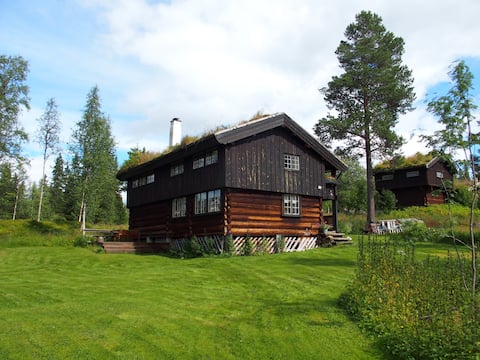 Top performing Airbnb: Loftsgardslåven, Rauland in Vinje