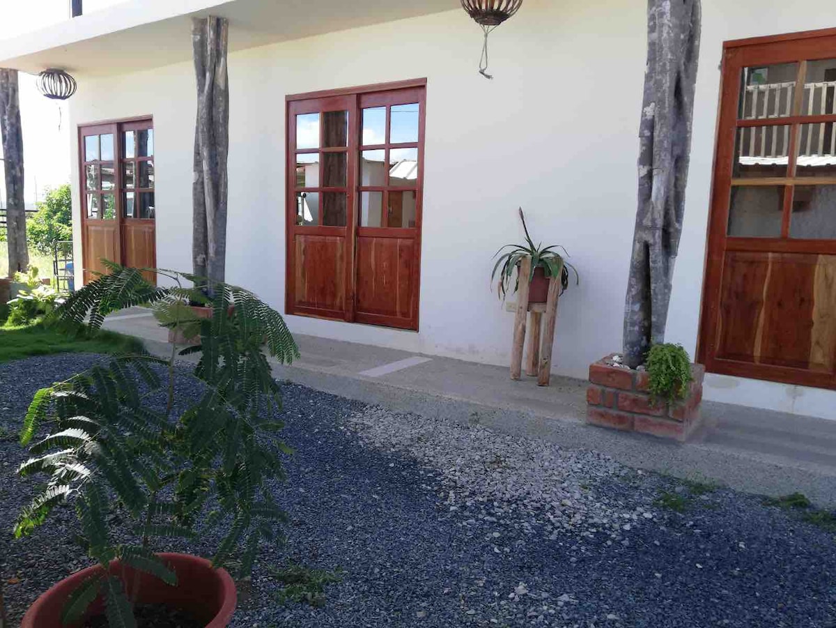 A serene outdoor space is present, featuring a pathway lined with gravel. Tall trees stand beside the white building, which includes wooden-framed windows and a minimalist design. Potted plants add a touch of greenery, enhancing the inviting appearance of the entrance.