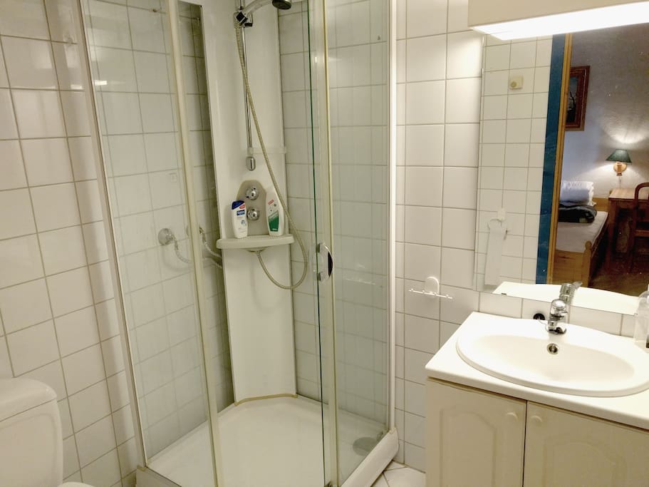 Private bathroom connected to bedroom