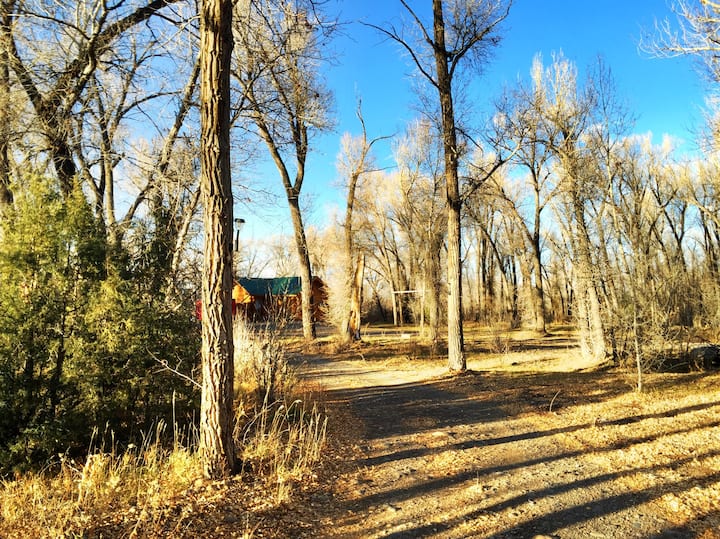 Private Cabin on the Conejos River Cabins for Rent in Antonito, Colorado, United States Airbnb