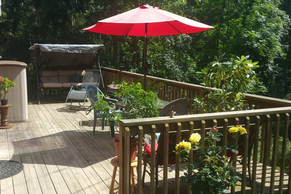 Afternoon sunlit deck