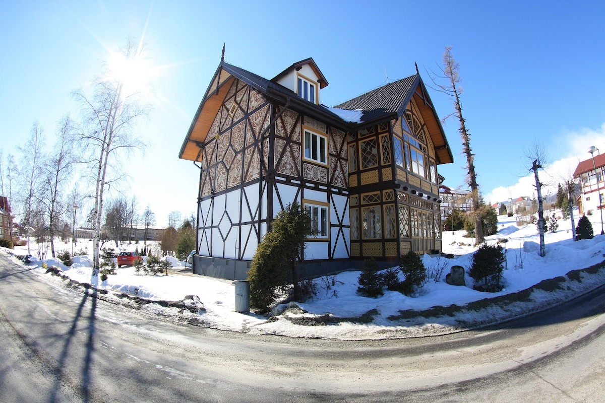 The exterior of the villa is shown, featuring an intricate wooden facade with a combination of dark beams and white walls. Snow covers the ground, and a clear blue sky is visible. The surrounding area includes patches of grass and a few trees, creating a serene environment.