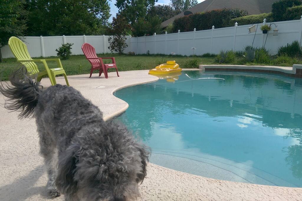 Pool! Perfect for the FL heat!